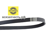 Ремень 5 PJ-565 VZ