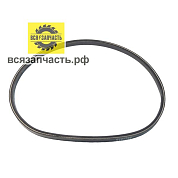 Ремень клиновой привода шнека для снегоуборщика V10*705 Profi З324SEL, P326SEL, P328SEL (7645) VZ