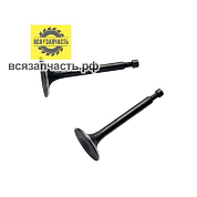 Комплект клапанов для 4-х тактного двигателя LIFAN 170F VZ